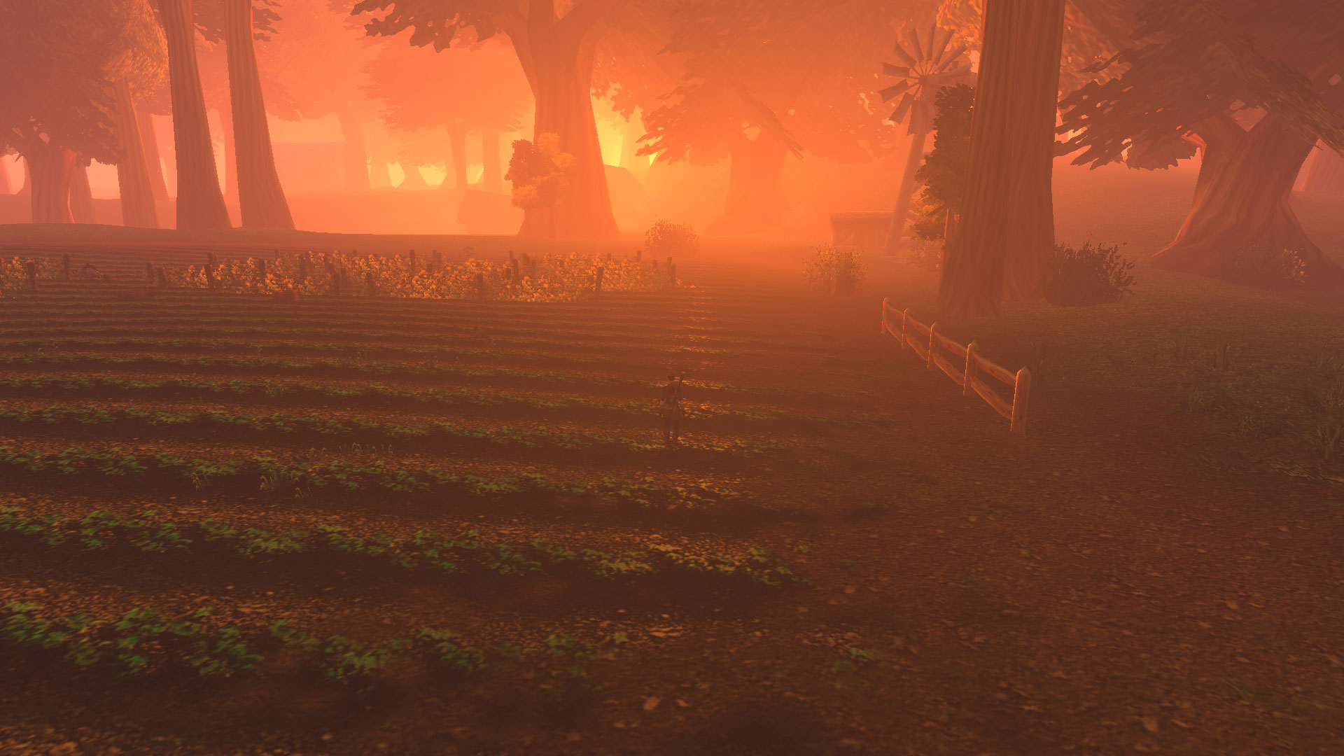 Dusk in Elwynn Forest